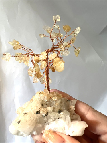Tree life bonsai wire - tree,
