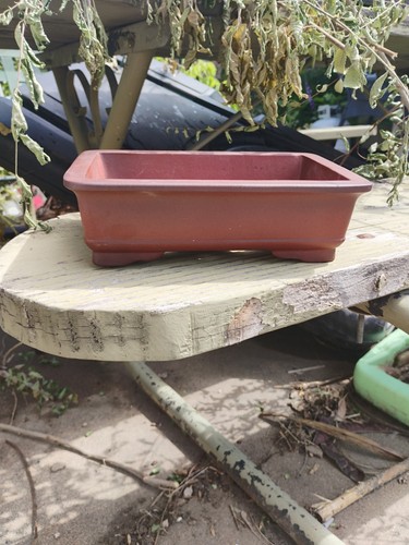 Yixing bonsai pot large - yixing,