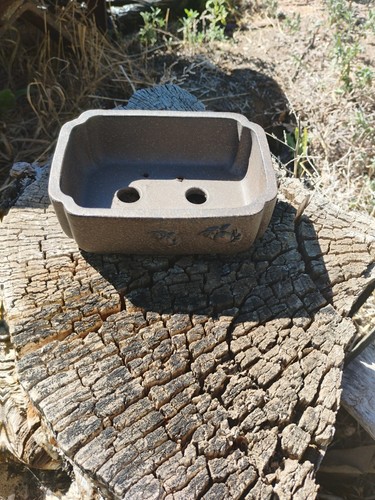 Yixing bonsai pot crab on - yixing, pot.