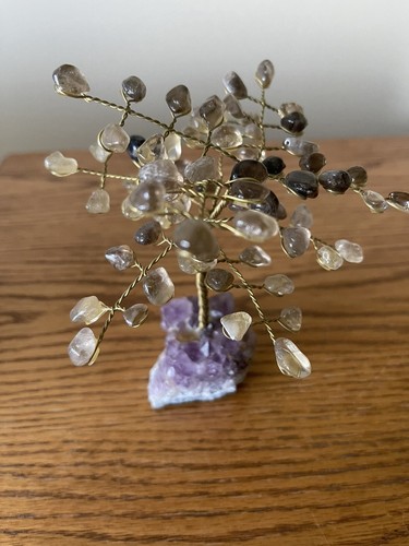Tree life bonsai - tree,