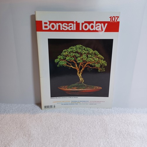 Bonsai today magazine - bonsai,