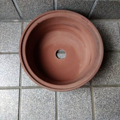 Bonsai pot round - pot, drainage